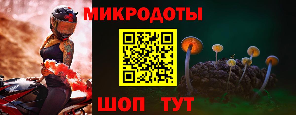 Псилоцибиновые грибы GOLDEN TEACHER Советская Гавань